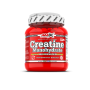 Creatine Monohydrate - Amix 500 g