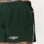Varsity Shorts Green - GymBeam XXXL