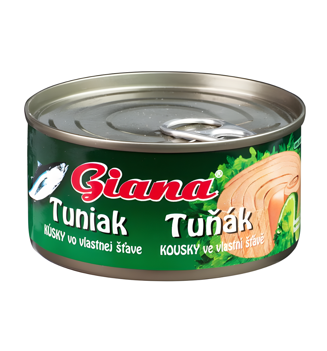 Tuna chunks in brine - Giana